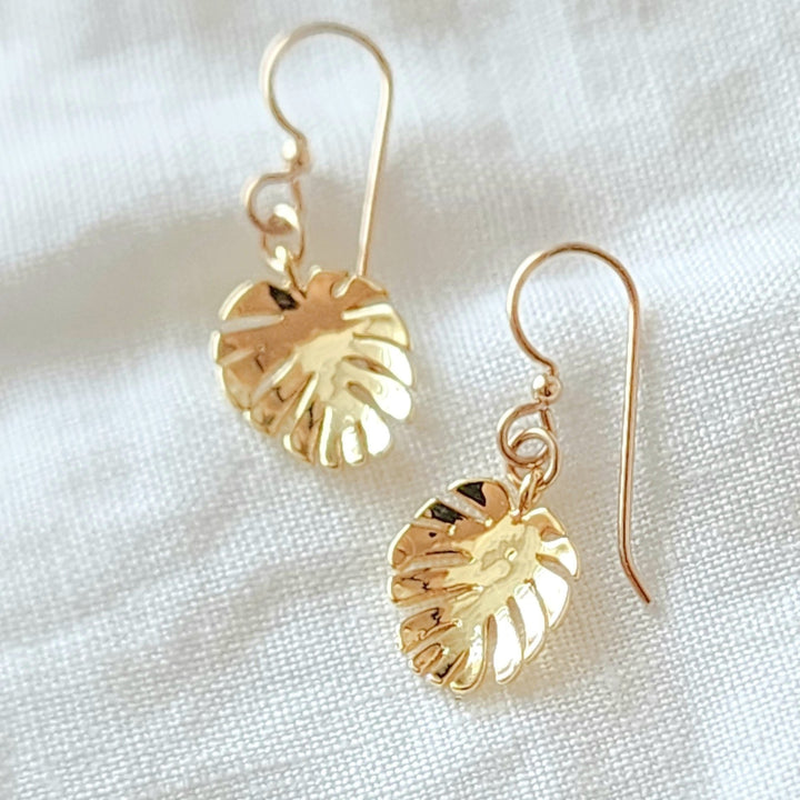 Monstera Set