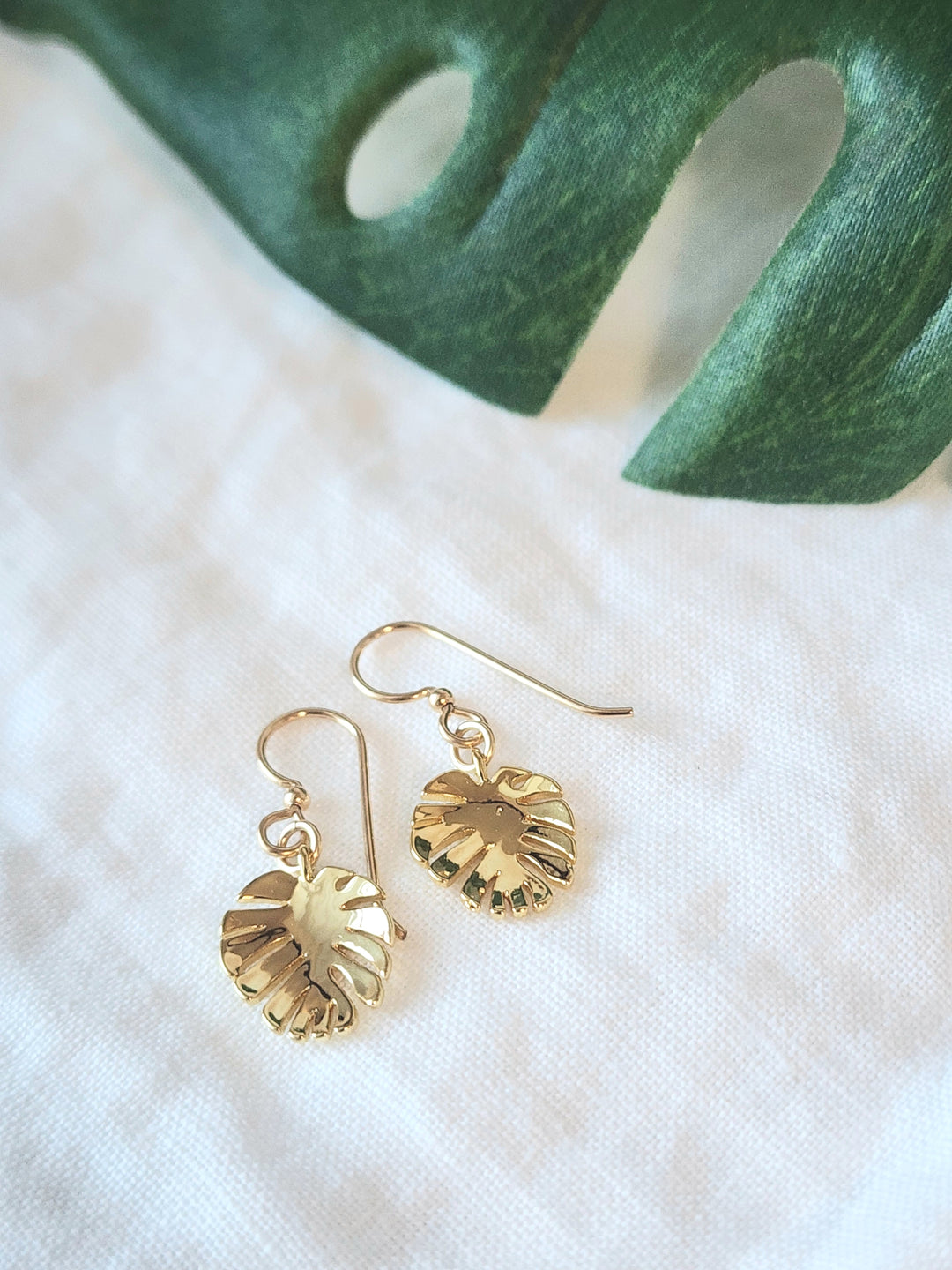 Monstera Set