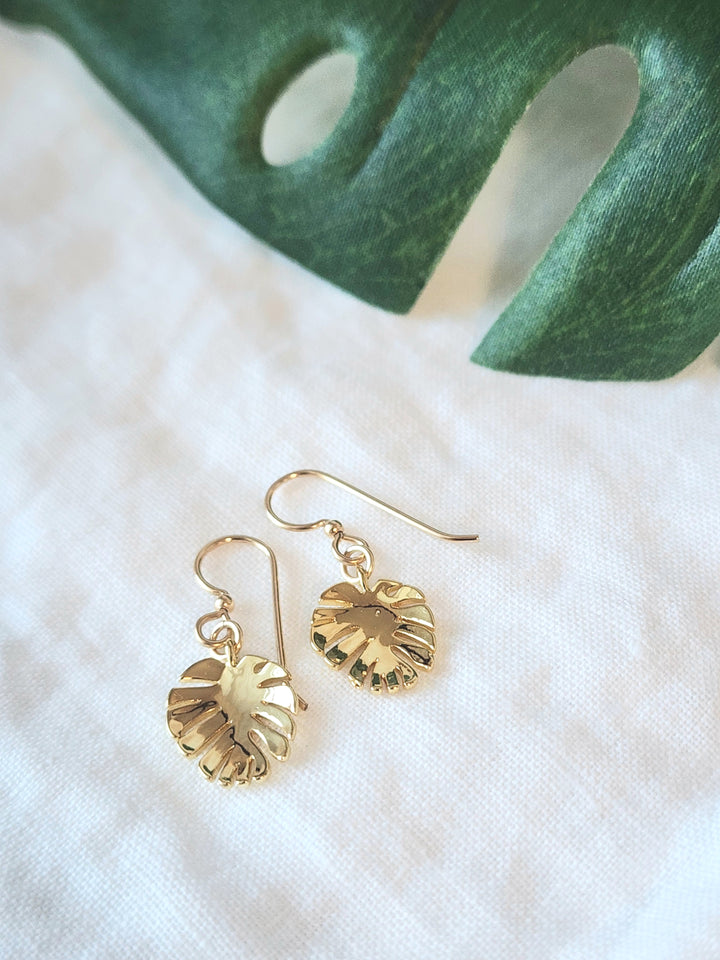 Monstera Set