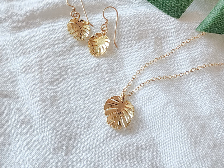 Monstera Set