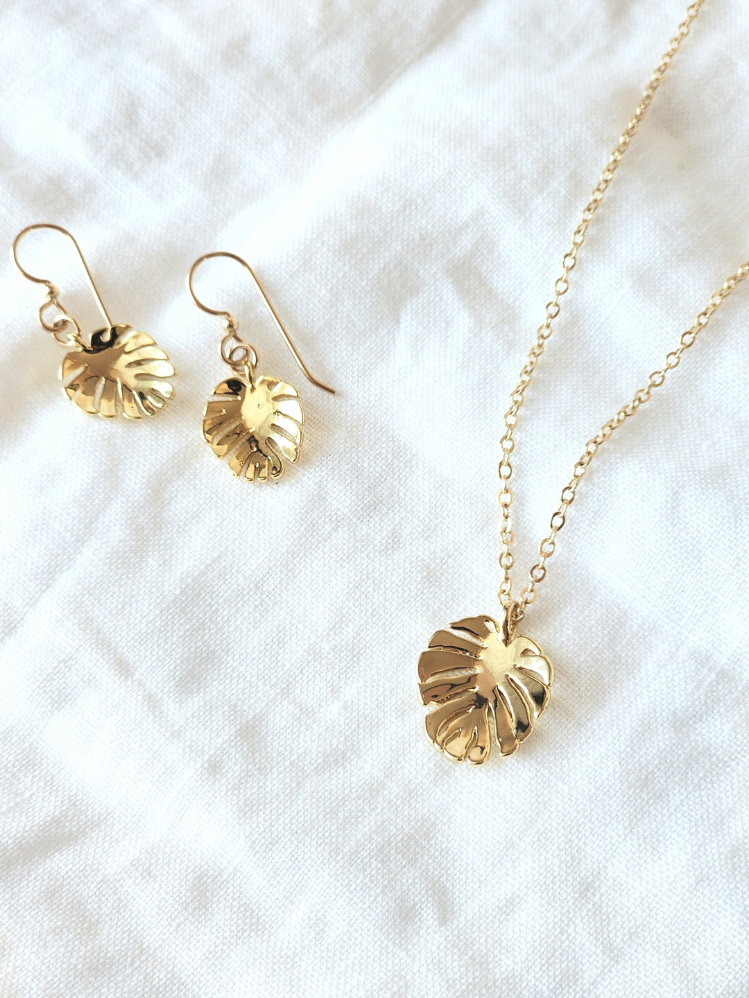 Monstera Set